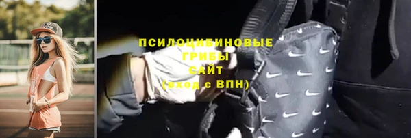 PSILOCYBIN Няндома