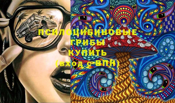 PSILOCYBIN Няндома