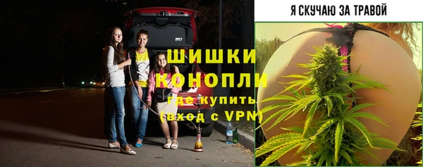 ALPHA PVP Новодвинск