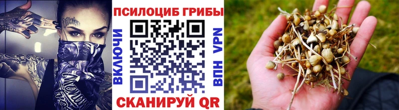 наркота мега рабочий сайт Галлюциногенные грибы мухоморы Владивосток
