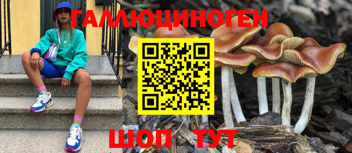 Галлюциногенные грибы ЛСД  Вход с VPN  Владивосток  Галлюциногенные грибы Cubensis 