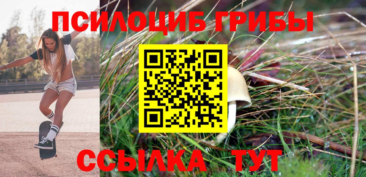 Псилоцибиновые грибы мицелий  Галлюциногенные грибы прущие грибы  Владивосток 