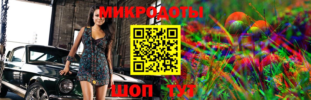 Галлюциногенные грибы Psilocybe Владивосток