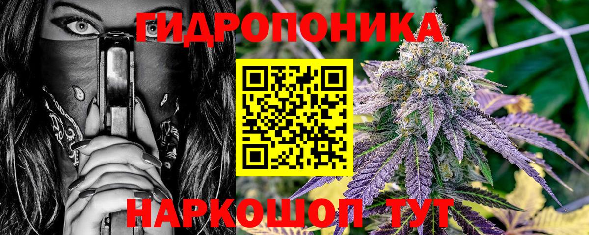 Каннабис план Владивосток